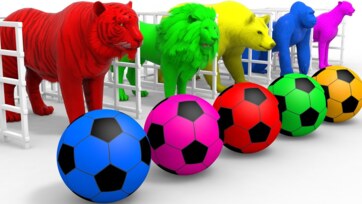 The Clever Fox and the Smart Crow